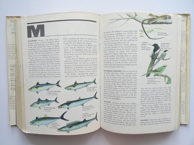 SFビジュアル百科事典 洋書 SFビジュアル百科事典 洋書 Amazon.co.jp: SF大百科事典